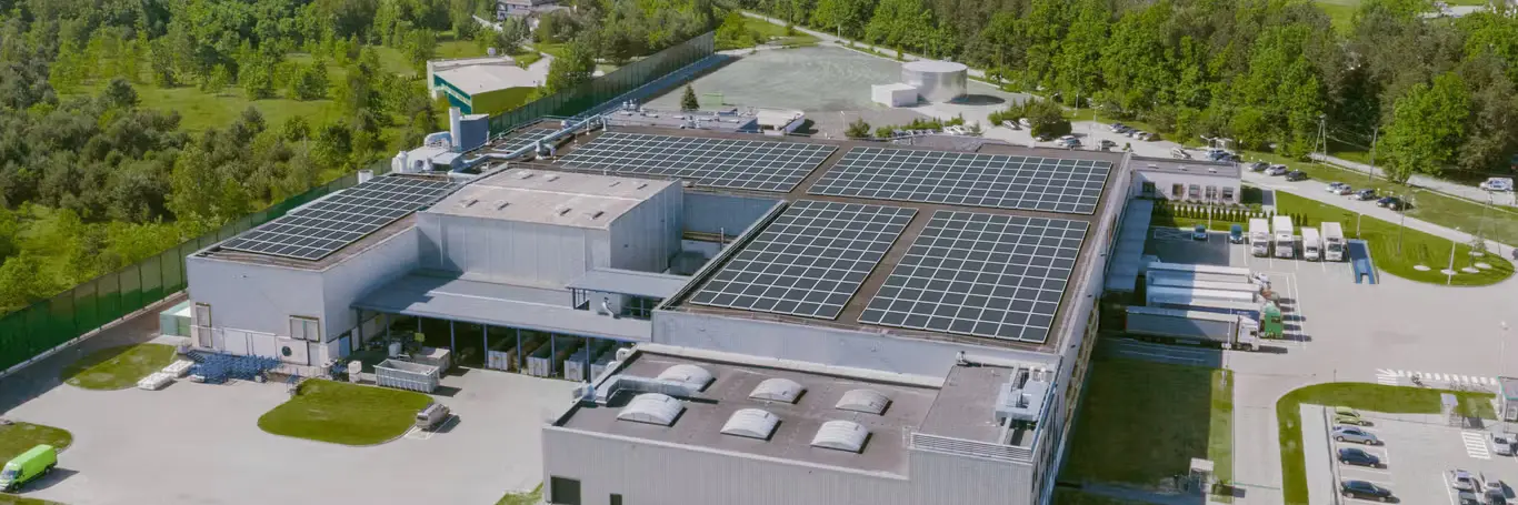 Aerial view of an industrial site with extensive rooftop solar installations